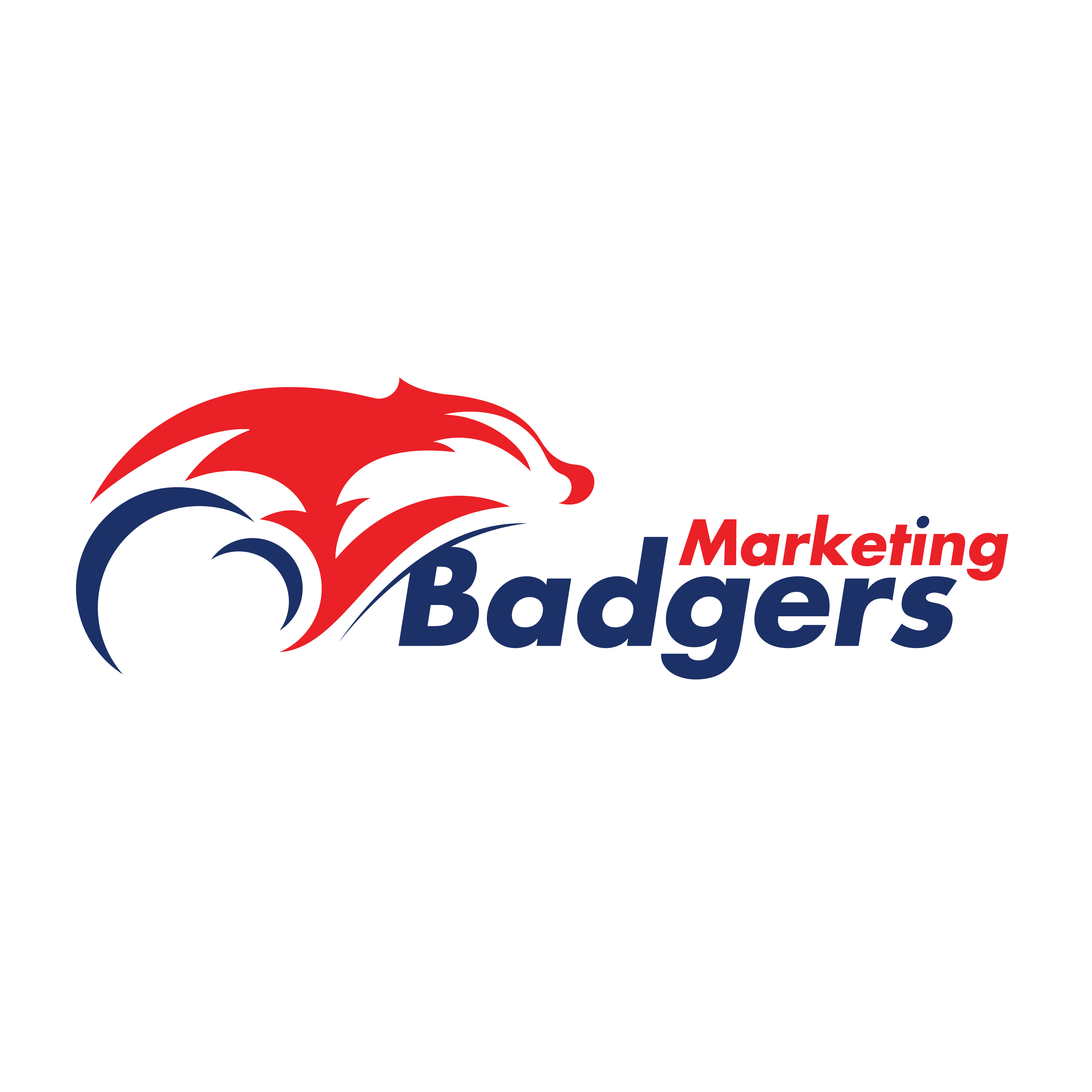 Marketing Badgers Logo